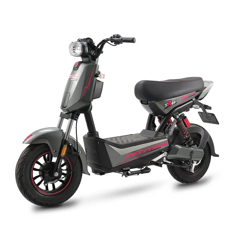 XE ĐẠP ĐIỆN ESPERO T-Rex