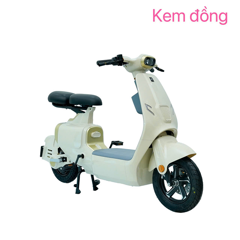 xe đạp điện ally elyas