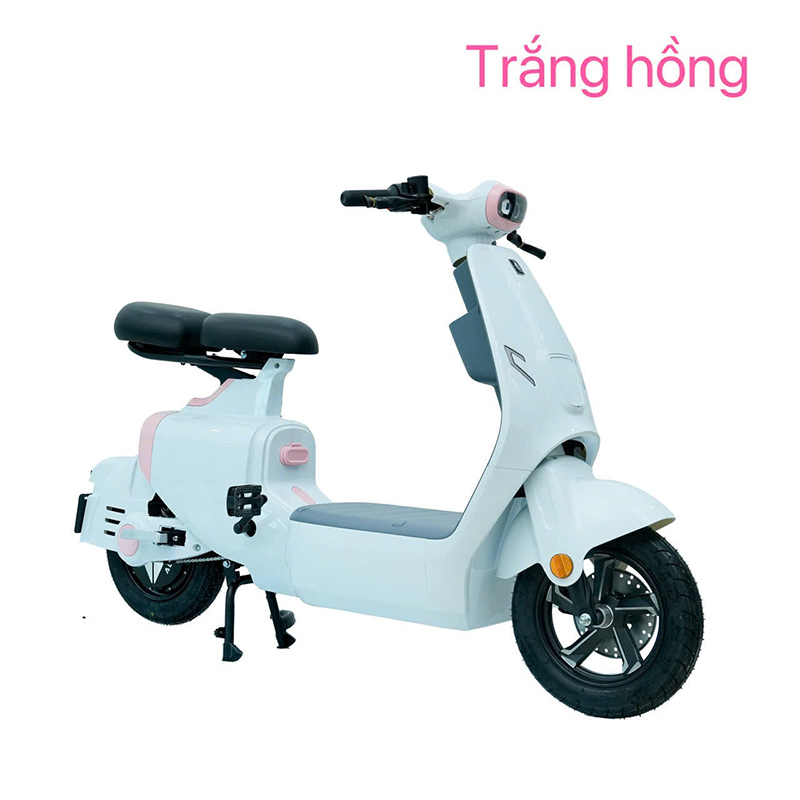xe đạp điện ally elyas