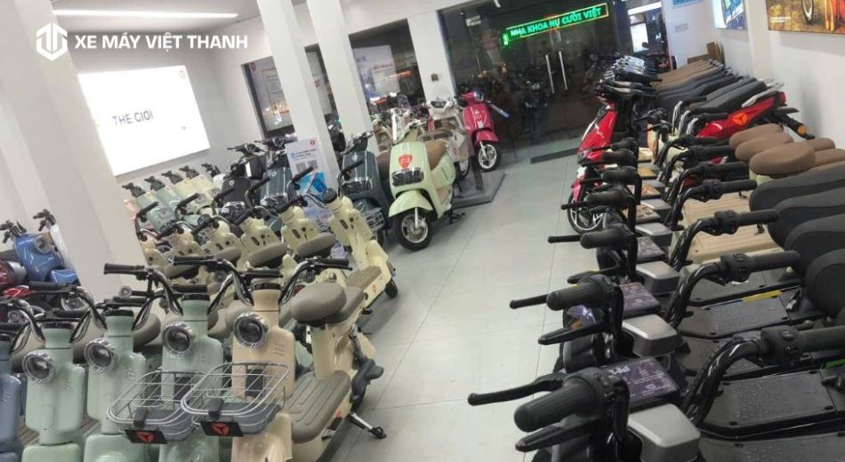 Cập nhật sản phẩm mới liên tục
