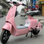 3 Mẫu Xe Đạp Điện Màu Hồng Cực Xinh Dành Cho Nữ