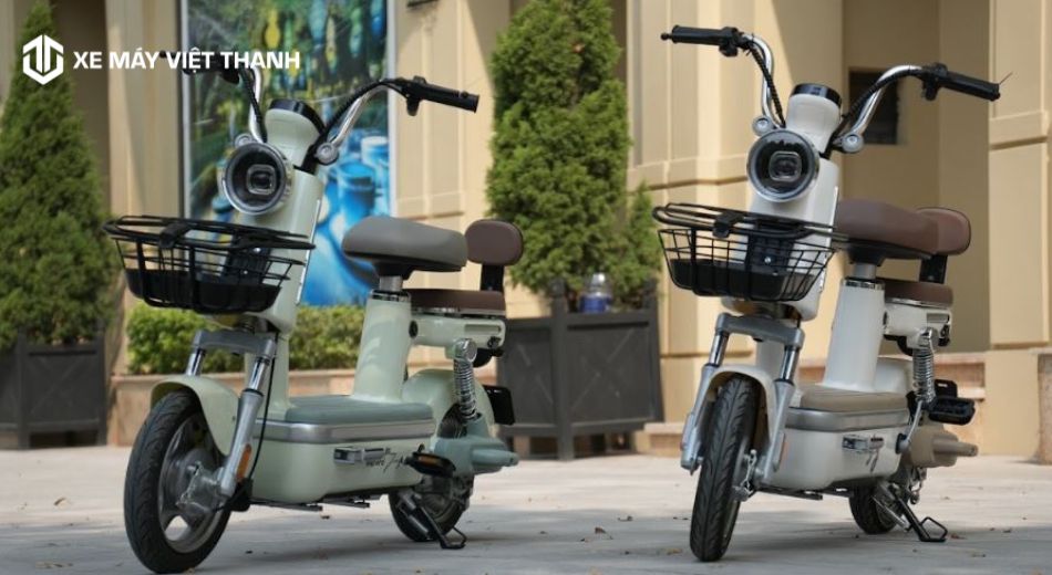 Xe đạp điện chở được bao nhiêu kg